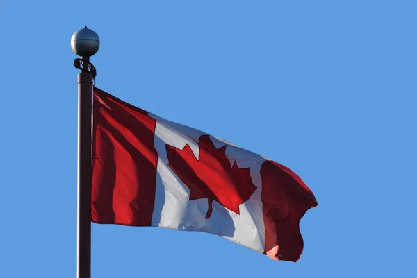 Ondeando bandera canadiense contra el cielo azul para celebrar Canadá 150 años —  Fotos de Stock