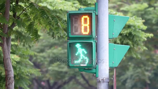 City Traffic Light Turns Green Red Pedestrian Walking — Stock Video