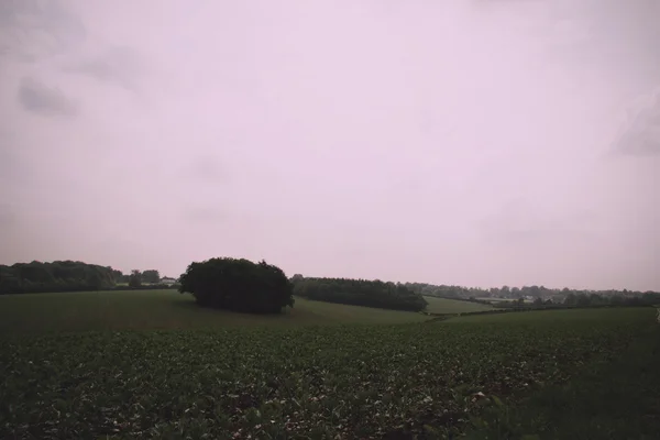 Chilterns manzara Buckinghamshire, İngiltere'de VI üzerinde göster — Stok fotoğraf