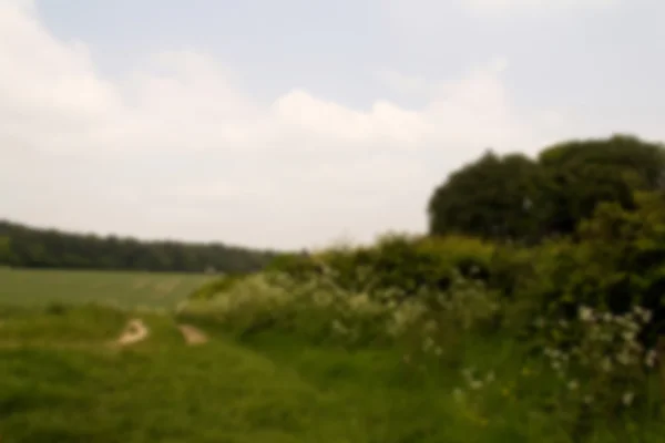Вид на ландшафт Чилтернса в Бакингхамшире, Англия — стоковое фото