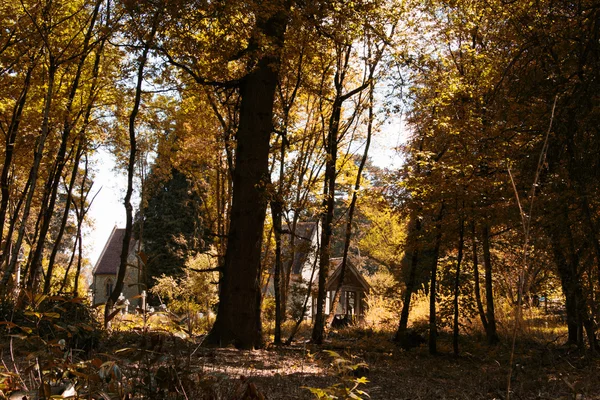 숲에서 나무에 의해 포위 하는 교회 — 스톡 사진