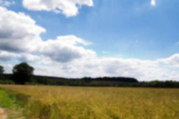 Trigo creciendo en un campo en los Chilterns fuera de foco . —  Fotos de Stock