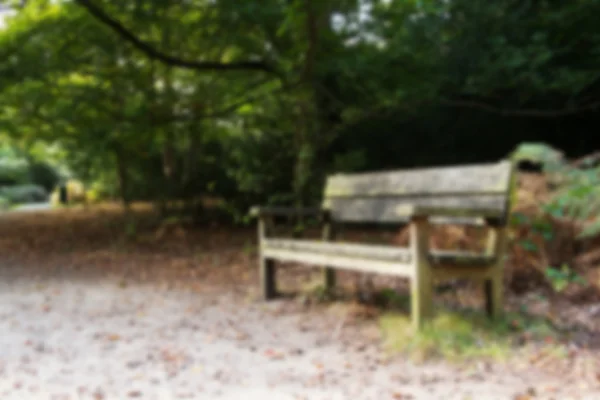 Waldszene zu Herbstbeginn aus dem Fokus geraten. — Stockfoto