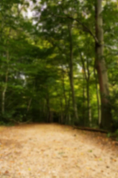 Woodland scene at the start of autumn Out of focus. — Stock Photo, Image