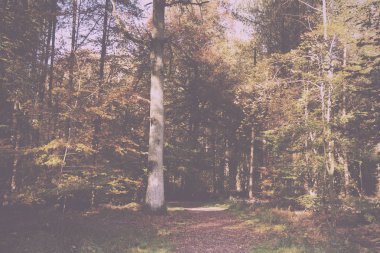 Woodland sahne sarı ve kahverengi sonbahar ile Retro Vintage bırakır