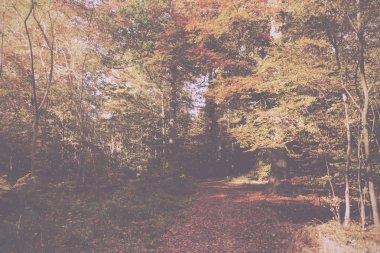 Woodland sahne sarı ve kahverengi sonbahar ile Retro Vintage bırakır