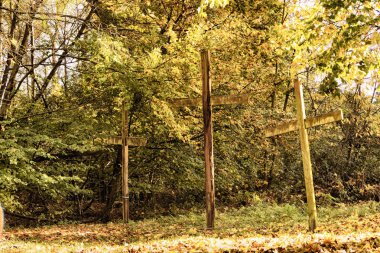 Woodland sahne sarı ve kahverengi sonbahar ile Hdr filtre bırakır.