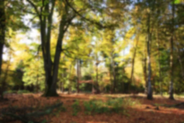 Деревянная сцена с желтыми и коричневыми осенними листьями вне фокуса . — стоковое фото
