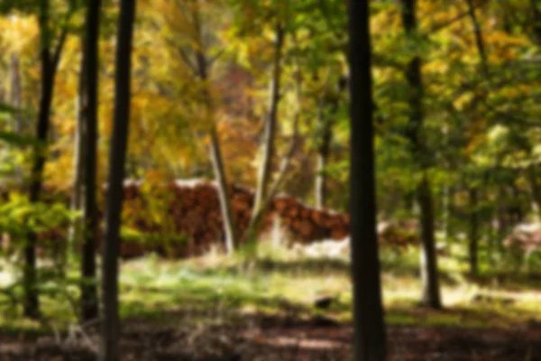 Woodland scene with yellow and brown autumn leaves Out of focus. — Stock Photo, Image