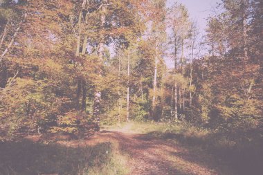 Woodland sahne sarı ve kahverengi sonbahar ile Retro Vintage bırakır