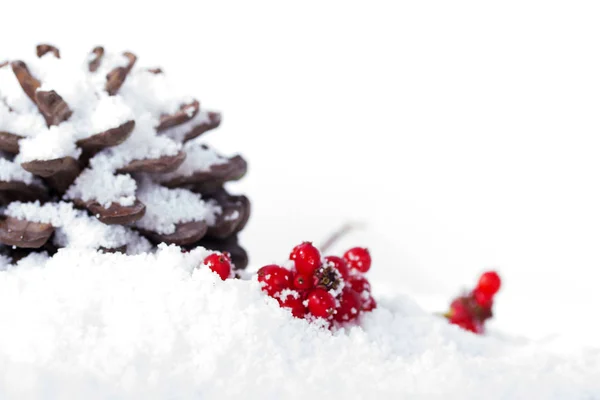 Cone de pinheiro e bagas vermelhas na neve branca — Fotografia de Stock