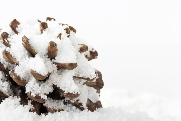 Cone de pinheiro coberto de neve branca fofa — Fotografia de Stock