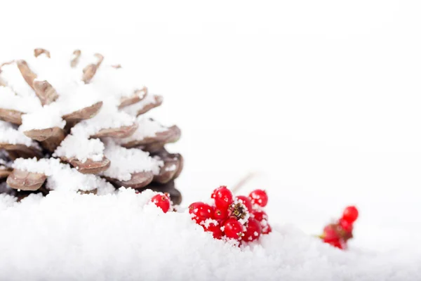 Pine cone en rode bessen in de witte sneeuw — Stockfoto