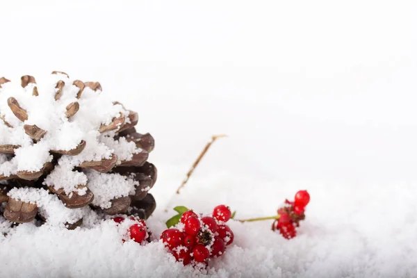 Pine cone en rode bessen in de witte sneeuw — Stockfoto