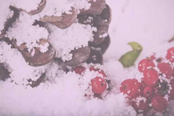 Cono di pino e bacche rosse nella neve bianca Vintage Retro Filter . — Foto Stock