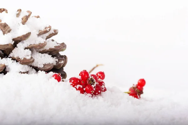 Tannenzapfen und rote Beeren im weißen Schnee — Stockfoto