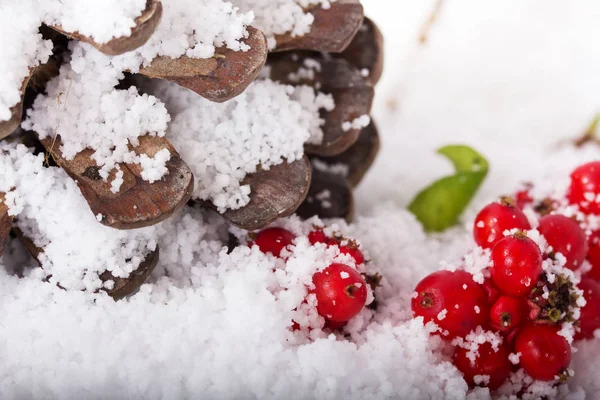 Tannenzapfen und rote Beeren im weißen Schnee — Stockfoto