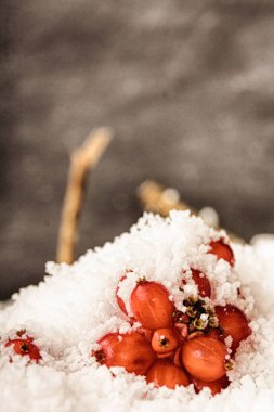 Hdr filtre beyaz karla kaplı parlak kırmızı meyveler.