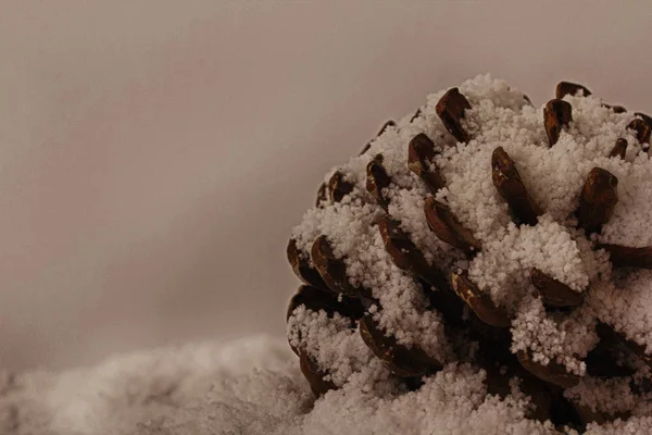 Pine cone covered in white fluffy snow HDR Filter. — Stock Photo, Image