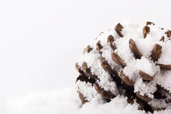 Cone de pinheiro coberto de neve branca fofa — Fotografia de Stock
