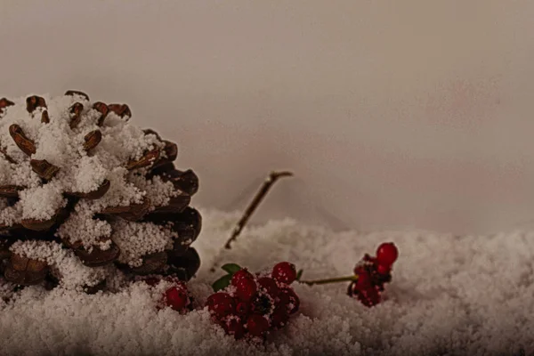 Cono di pino e bacche rosse nella neve bianca Filtro HDR . — Foto Stock