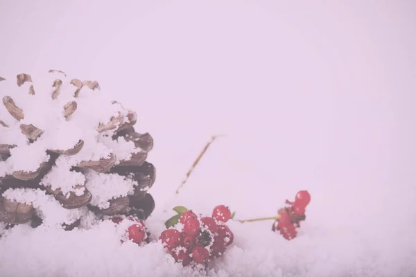 흰 눈 빈티지 복고 필터에에서 소나무 콘과 붉은 열매. — 스톡 사진