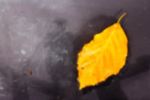 Jasne kolorowe jesień liść pływające w wodzie nieostry. — Zdjęcie stockowe