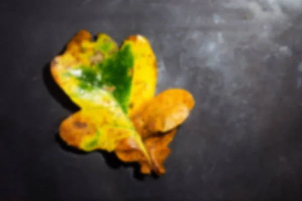 Jasne kolorowe jesień liść pływające w wodzie nieostry. — Zdjęcie stockowe