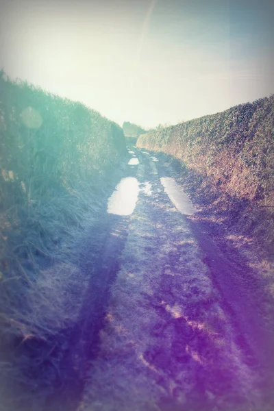 Muddy country path with hedges on either side — Stock Photo, Image