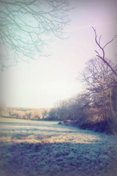 Leere Landschaft an einem kalten Winternachmittag — Stockfoto