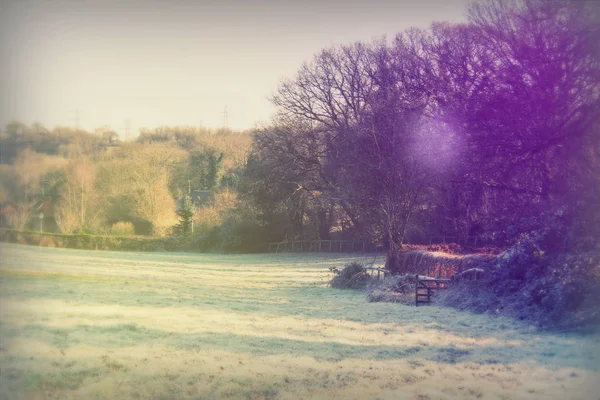 Campagne vide par un hiver froid après-midi — Photo