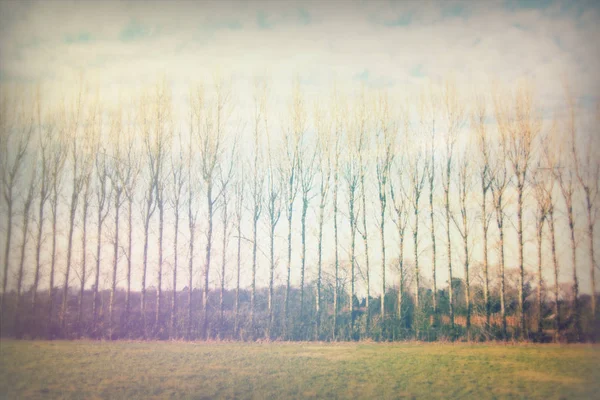 Campo vazio em uma tarde fria de invernos — Fotografia de Stock