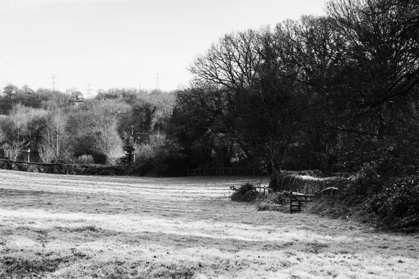 Lege platteland op een koude winters-middag — Stockfoto