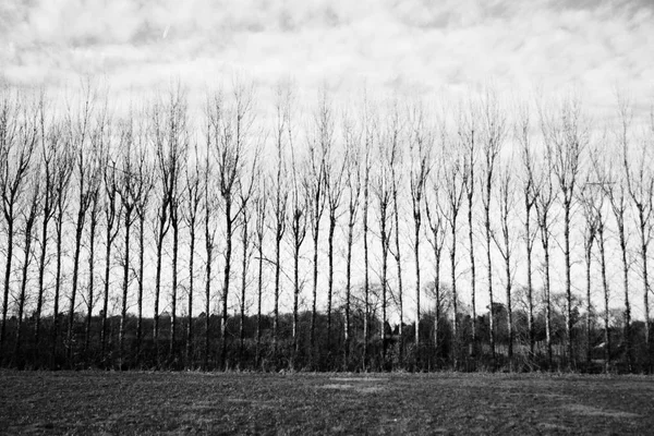 Campo vazio em uma tarde fria de invernos — Fotografia de Stock