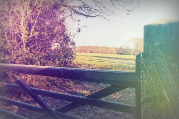 Puerta de madera frente al campo y el campo — Foto de Stock