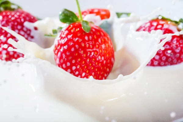 Strawberries falling into fresh bowl of cream — Stock Photo, Image