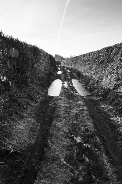 Muddy country path con setos a cada lado —  Fotos de Stock