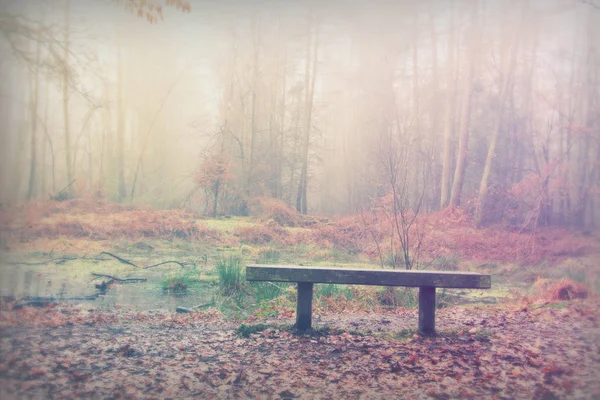 Panchina nel bosco in una nebbiosa mattina nebbiosa — Foto Stock