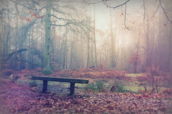 Panchina nel bosco in una nebbiosa mattina nebbiosa — Foto Stock