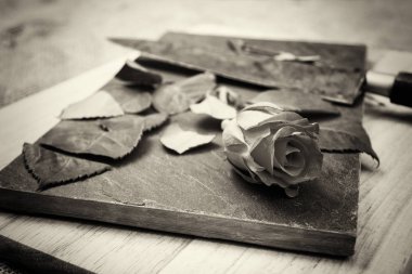 Kayrak parçası üzerinde gül kesip