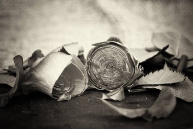 Kayrak parçası üzerinde gül kesip