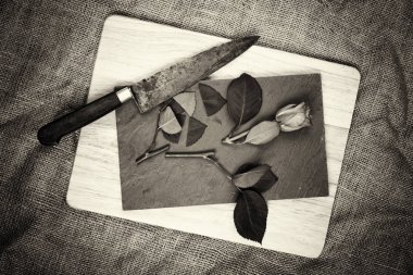 Kayrak parçası üzerinde gül kesip