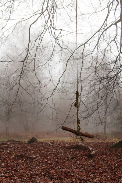 English woodland on a foggy misty morning — Stock Photo, Image