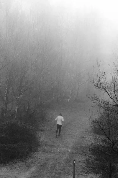Hombre corriendo en el bosque en una nebulosa mañana brumosa —  Fotos de Stock