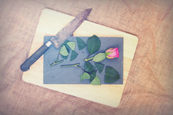 Rose tagliata su pezzo di ardesia — Foto Stock