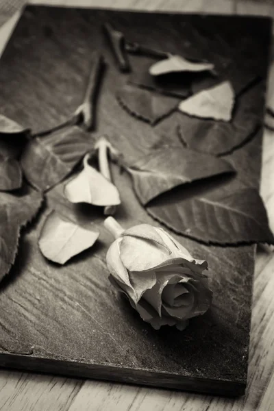 把切碎的玫瑰在一块石板上 — 图库照片