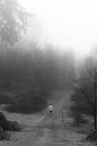 Hombre corriendo en el bosque en una nebulosa mañana brumosa —  Fotos de Stock