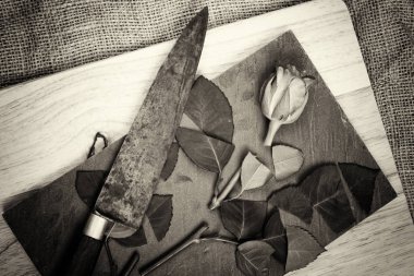 Kayrak parçası üzerinde gül kesip