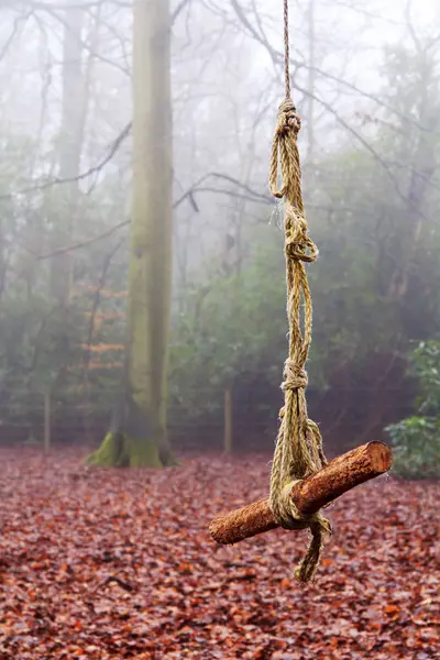 Floresta inglesa em uma manhã enevoada nebulosa — Fotografia de Stock