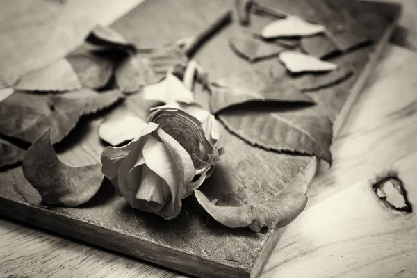 Kayrak parçası üzerinde gül kesip